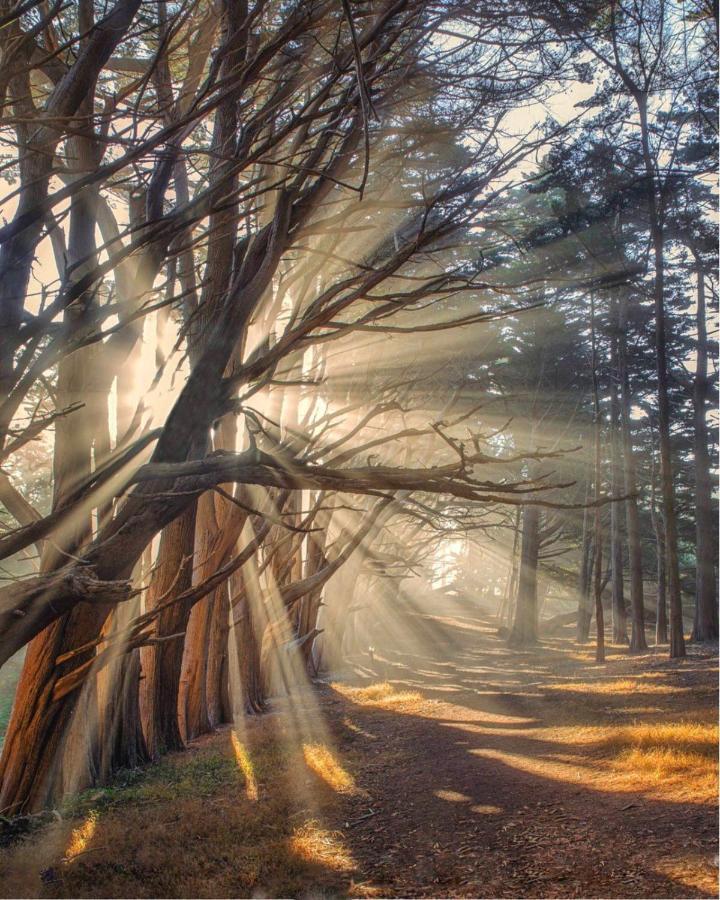 Stunning Oceanview Coastal Home Beach Trails Family Activities Montara Buitenkant foto